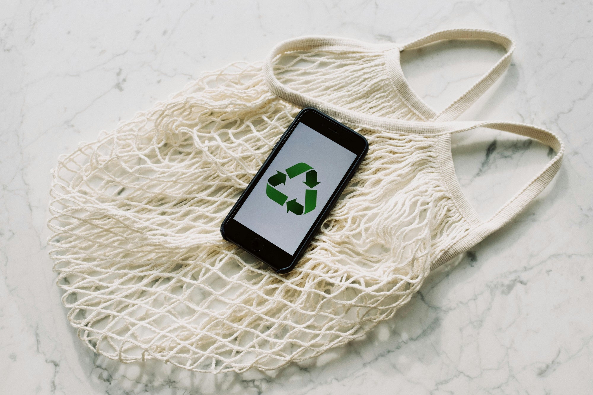 TENN’s Take on Sustainable Fashion